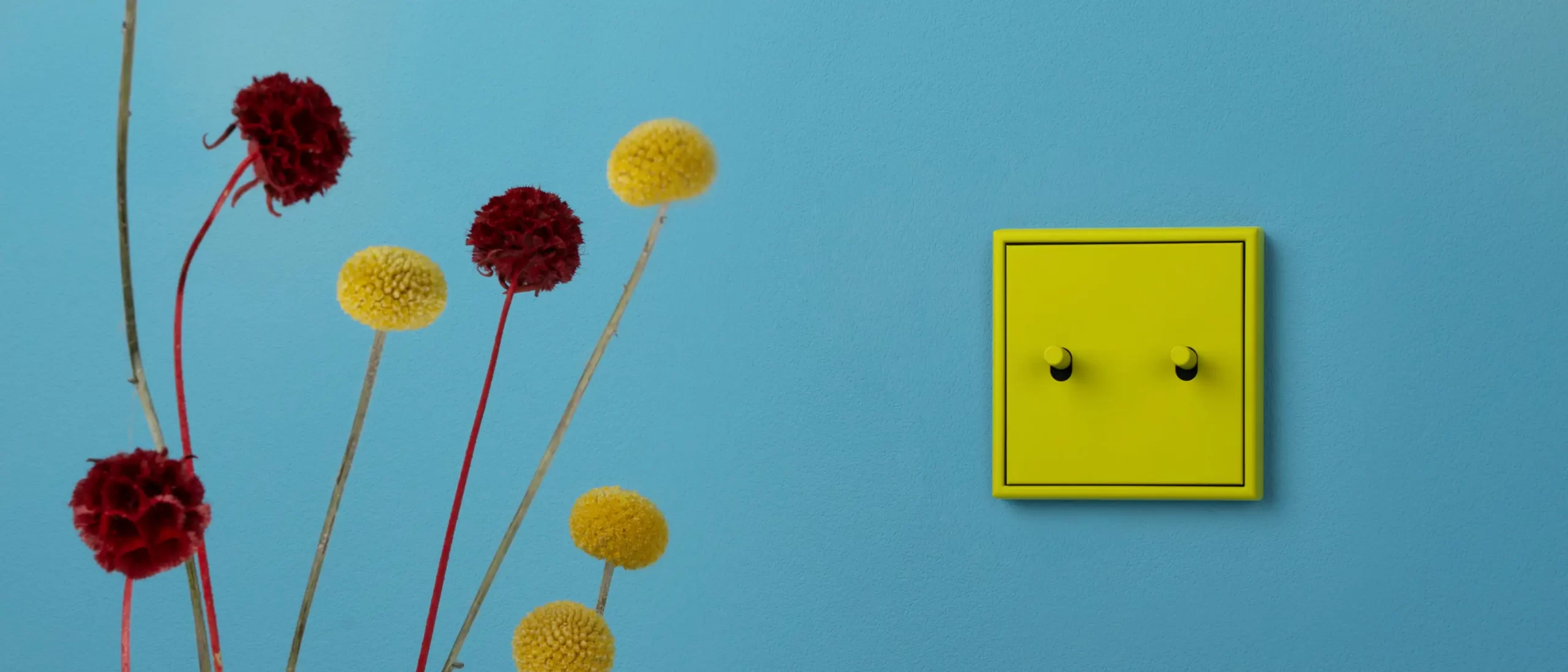 LS 1912 シリーズ ダブルトグルスイッチ ル・コルビュジエカラー